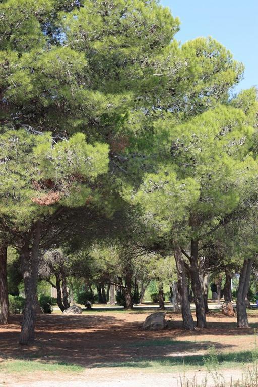 فيلا Casa Mireia I Paula ريومار المظهر الخارجي الصورة